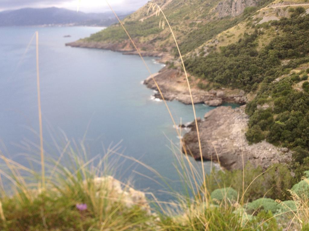 B&B Calandrella Maratea Eksteriør bilde