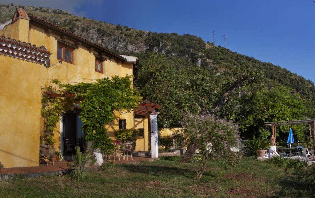 B&B Calandrella Maratea Eksteriør bilde