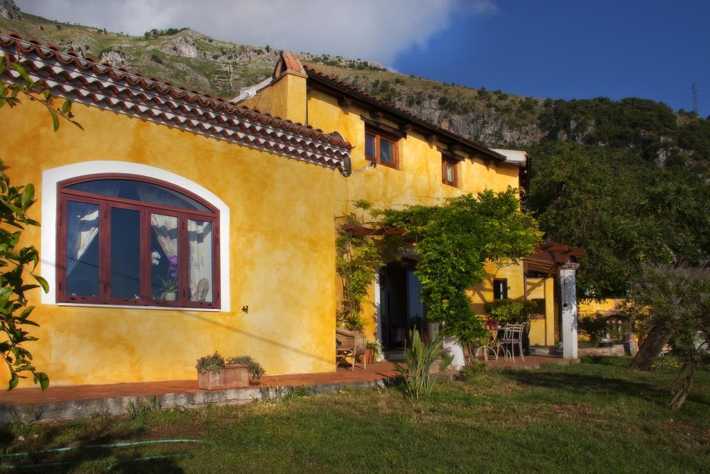B&B Calandrella Maratea Rom bilde