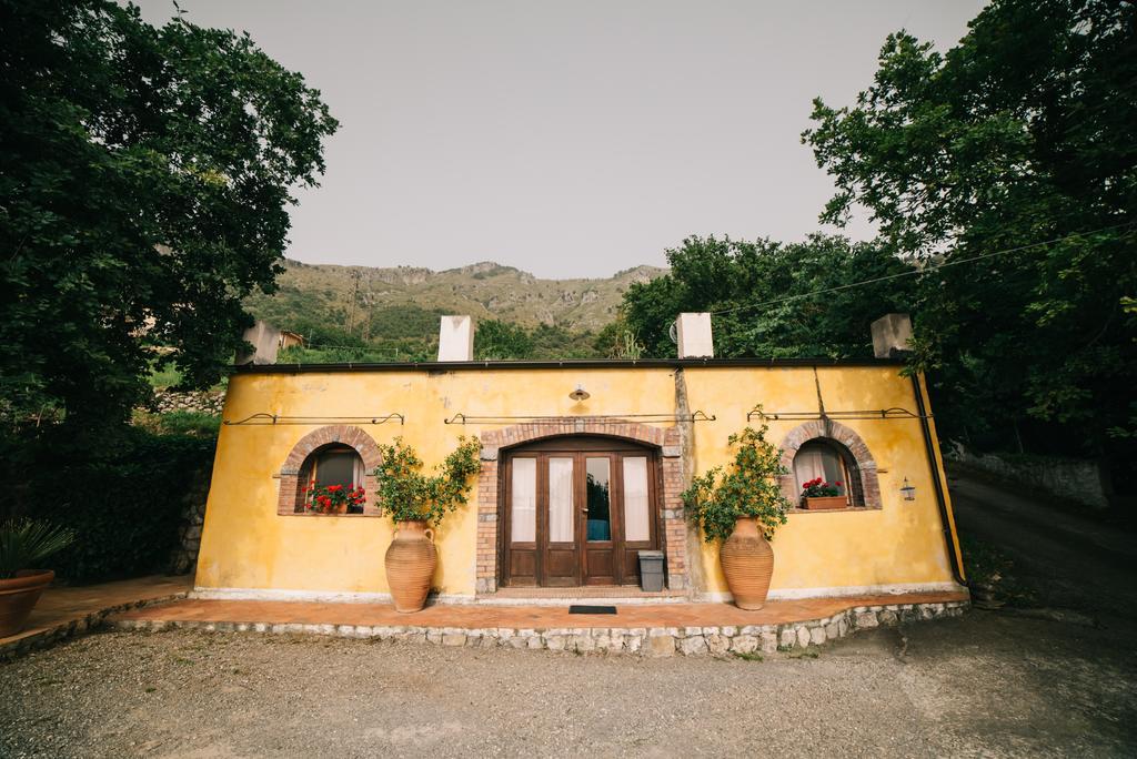 B&B Calandrella Maratea Eksteriør bilde