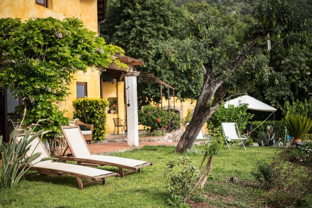 B&B Calandrella Maratea Eksteriør bilde
